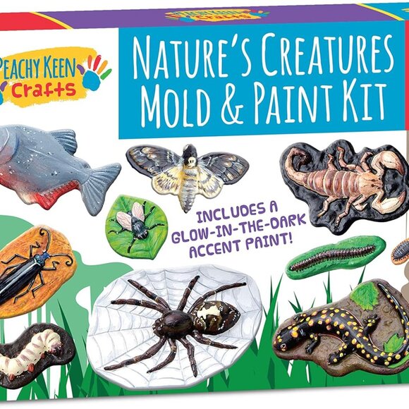 Mold and Paint Your Own Creepy Crawlers Craft Set - Picture 1 of 5